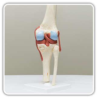 Joint Replacement Surgery